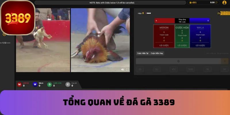 Tổng quan về đá gà 3389