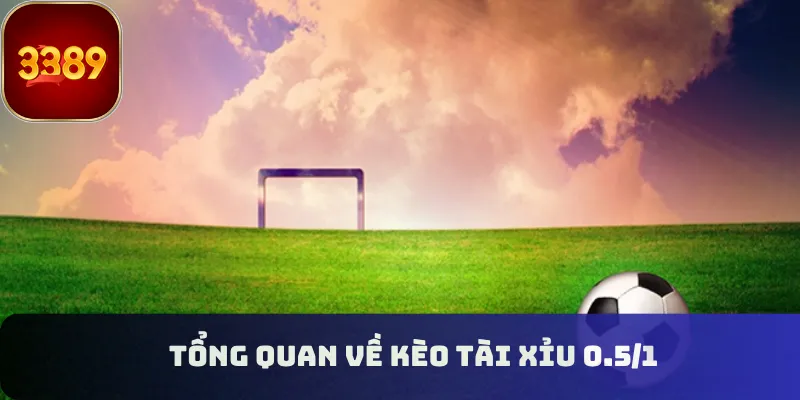 Tổng quan về kèo tài xỉu 0.5/1